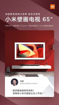 專業(yè)人士這樣評(píng)價(jià)小米小米壁畫(huà)電視 網(wǎng)友 難怪這么火爆